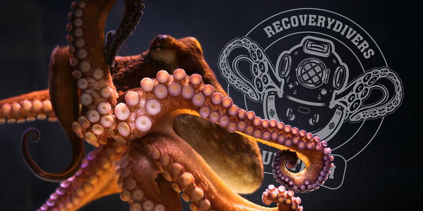 World Octopus Day: acht armen, één missie 🐙 Recovery Divers